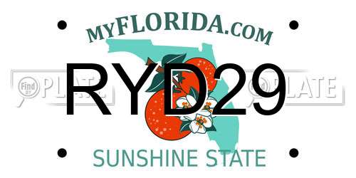 RYD29 Florida License Plate