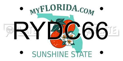 RYDC66 Florida License Plate