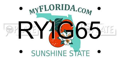 RYIG65 Florida License Plate
