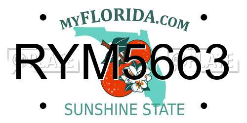 RYM5663 Florida License Plate