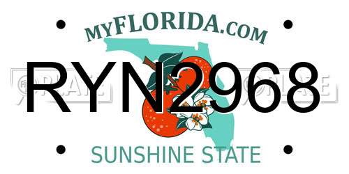 RYN2968 Florida License Plate