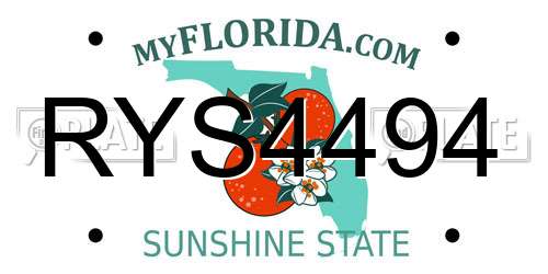 RYS4494 Florida License Plate