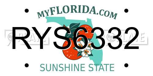 RYS6332 Florida License Plate