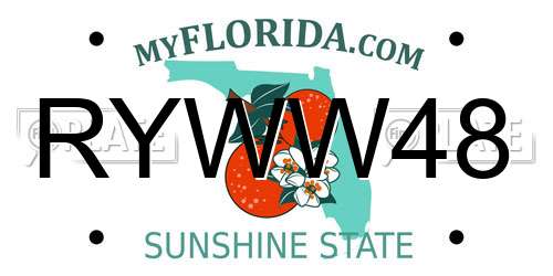 RYWW48 Florida License Plate