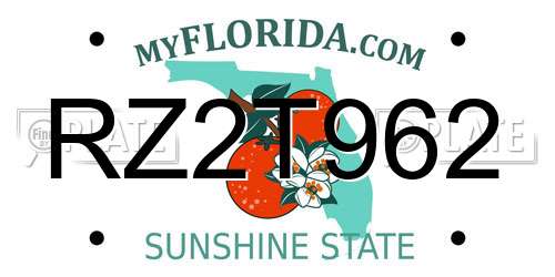 RZ2T962 Florida License Plate