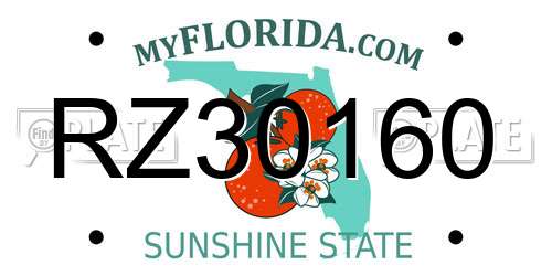 RZ30160 Florida License Plate
