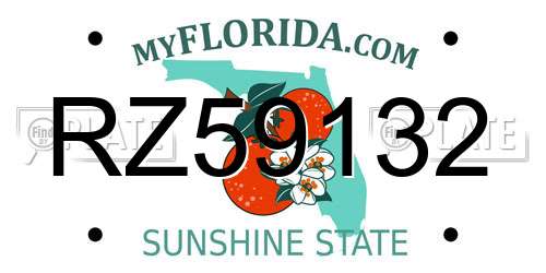 RZ59132 Florida License Plate
