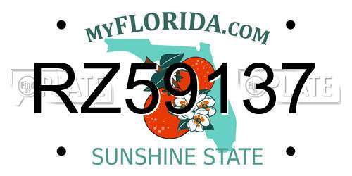RZ59137 Florida License Plate