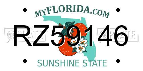 RZ59146 Florida License Plate