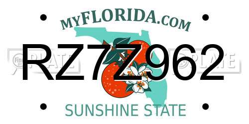 RZ7Z962 Florida License Plate