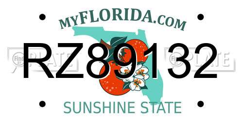 RZ89132 Florida License Plate