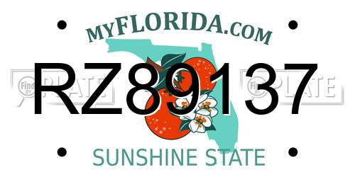 RZ89137 Florida License Plate