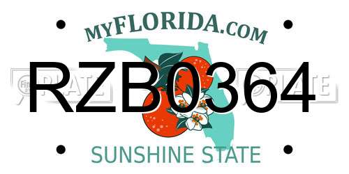RZB0364 Florida License Plate
