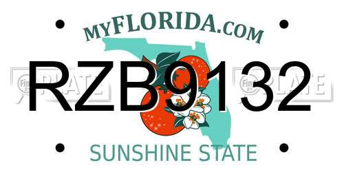 RZB9132 Florida License Plate