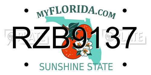RZB9137 Florida License Plate