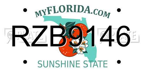 RZB9146 Florida License Plate