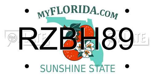 RZBH89 Florida License Plate