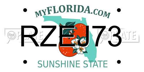 RZEJ73 Florida License Plate