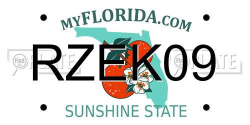 RZEK09 Florida License Plate
