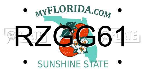 RZGG61 Florida License Plate