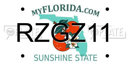 RZGZ11 Florida License Plate
