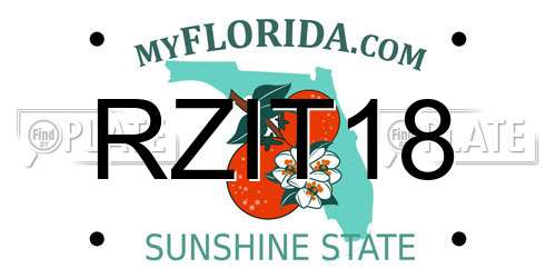 RZIT18 Florida License Plate