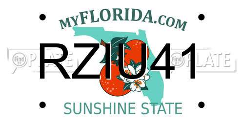 RZIU41 Florida License Plate