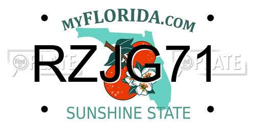 RZJG71 Florida License Plate