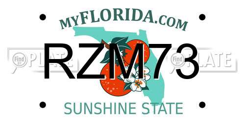 RZM73 Florida License Plate