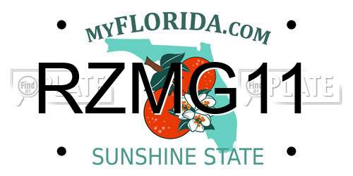 RZMG11 Florida License Plate
