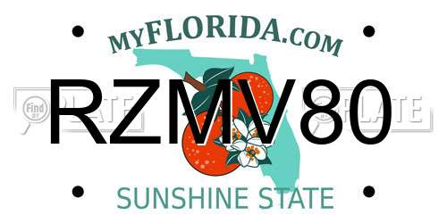 RZMV80 Florida License Plate