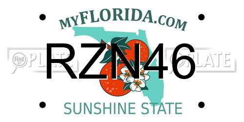 RZN46 Florida License Plate