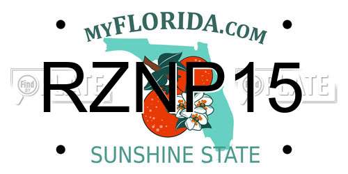 RZNP15 Florida License Plate