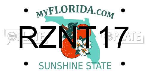 RZNT17 Florida License Plate