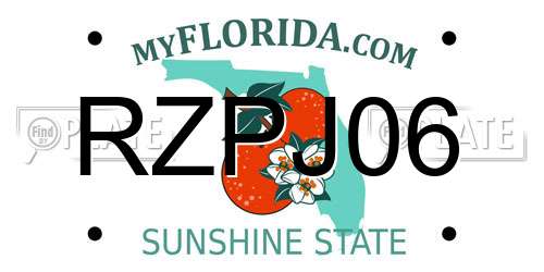 RZPJ06 Florida License Plate