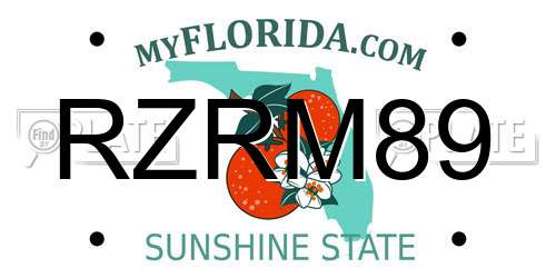 RZRM89 Florida License Plate