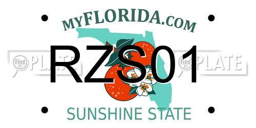 RZS01 Florida License Plate