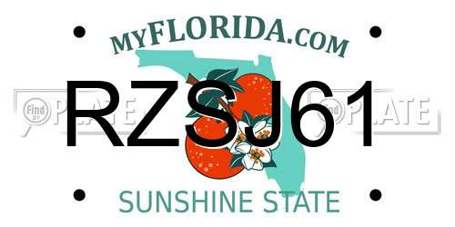 RZSJ61 Florida License Plate