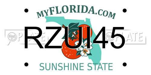 RZUI45 Florida License Plate