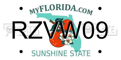 RZVW09 Florida License Plate