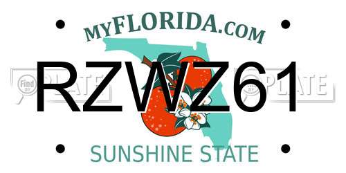 RZWZ61 Florida License Plate
