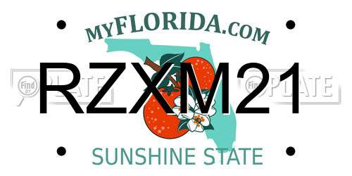 RZXM21 Florida License Plate