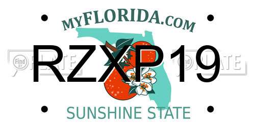 RZXP19 Florida License Plate