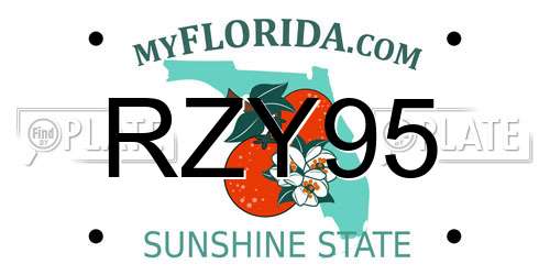RZY95 Florida License Plate