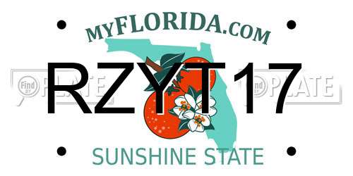 RZYT17 Florida License Plate