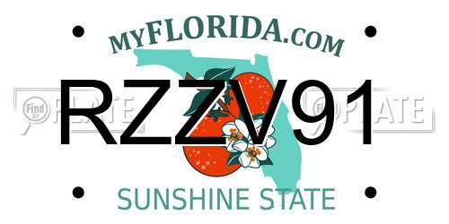 RZZV91 Florida License Plate