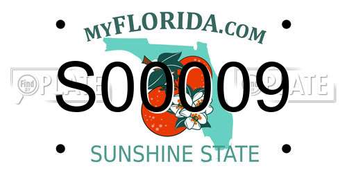 S00009 Florida License Plate