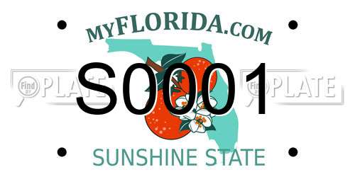S0001 Florida License Plate