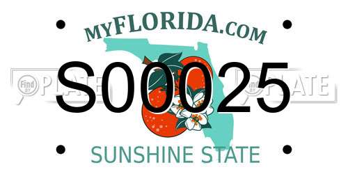 S00025 Florida License Plate