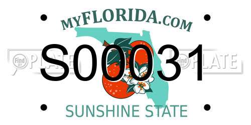 S00031 Florida License Plate